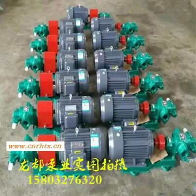 ** 齿轮油泵 耐腐蚀泵 高粘度泵 保温齿轮泵 沥青泵何氏 渣油泵ZYB-300