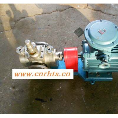 专业高效圆弧齿轮泵/YCB20-0.6不锈钢圆弧齿轮油泵/防爆圆弧齿轮油泵/齿轮油泵