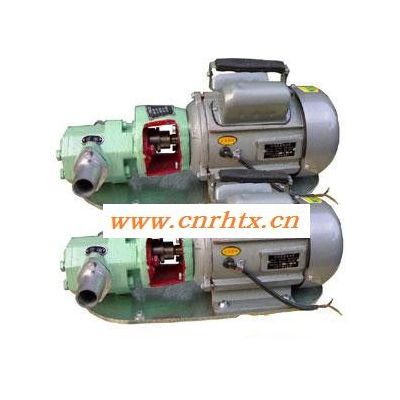 供应上海祈能泵业CB-B（S）型微型齿轮油泵CB-B（S）型微型齿轮油泵