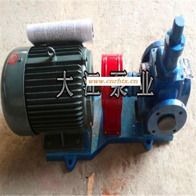 厂家直销YCB-40/0.6圆弧齿轮泵 白油泵 柴油输送泵