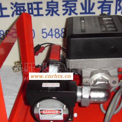A上海旺泉ETP-40型直流电动油泵、计量油桶泵