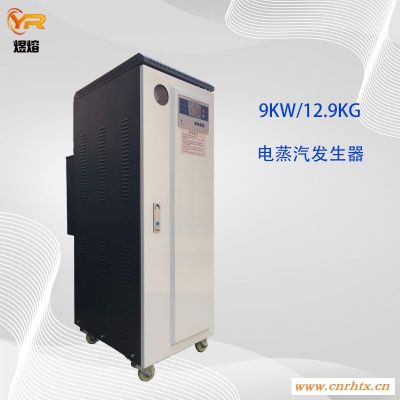 反应釜配套用9KW电蒸汽发生器